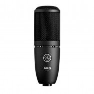 Akg P120 Microfono Cardioide a condensatore da Studio Diagramma Largo
