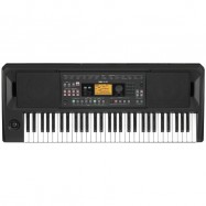 Korg EK50 Tastiera Arranger 61 Tasti con Usb