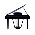 Echord GP10B Pianoforte Digitale aCodino 88 Tasti Pesati Nero