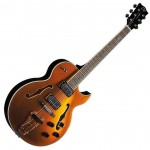 Eko Jazz Gold Chitarra Semiacustica Dorata