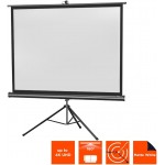 Celexon Schermo a Treppiede di Proiezione 176 x 132 Formato 4:3