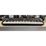 Korg SV-73 Stage Piano 73 Tasti Pesati Usato