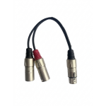 Proel BULK250MY2F Cavo Adattatore XLR Femmina - 2 Cannon Maschio 0.2m