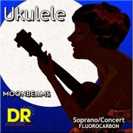 DR UFSC Ukulele Soprano /...